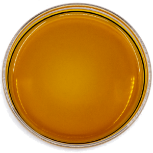 CBN DISTILLATE – JAPAN MEDICAL HEMP